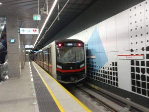 Nietypowy gość na stacji metra w Warszawie. Pasażerowie wezwali pomoc